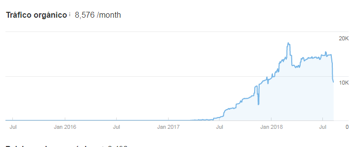 Web penalizada por la actualización de google ymyl