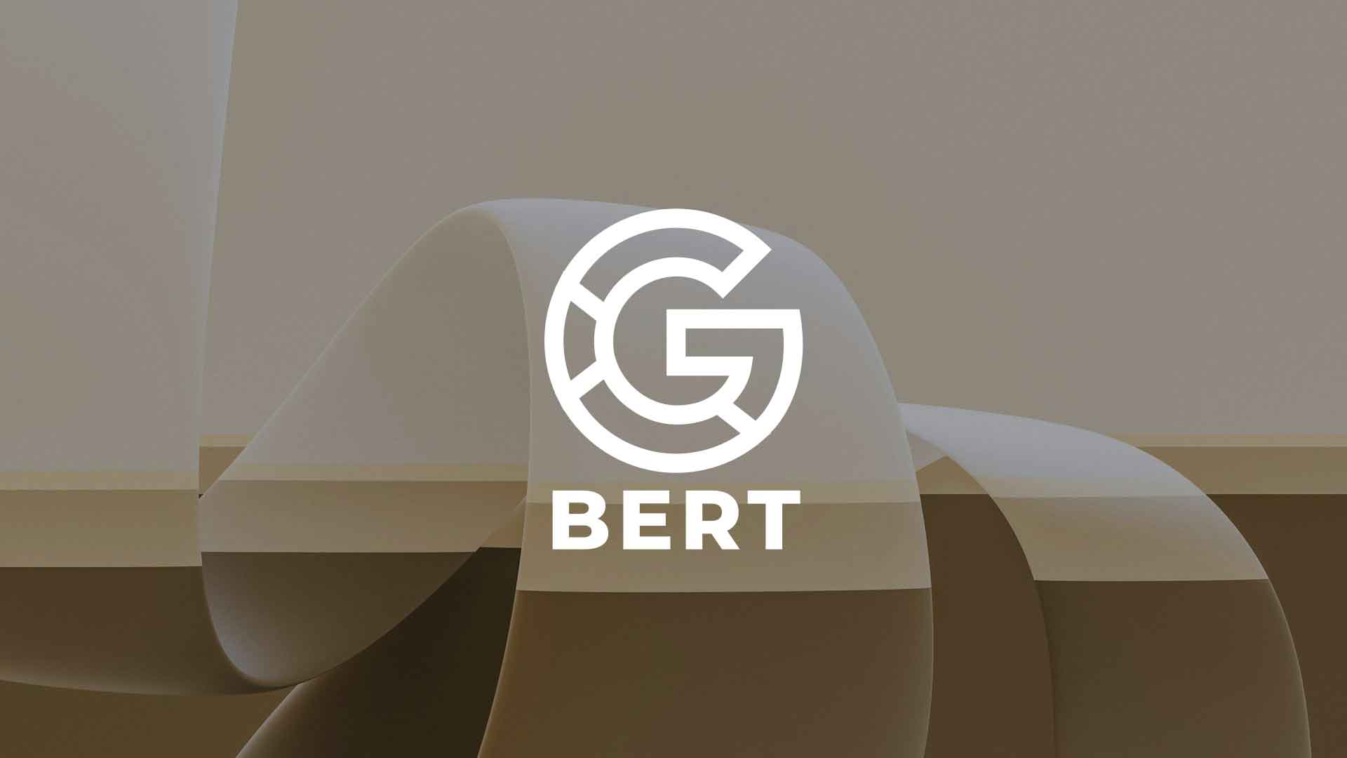 Analizamos a Bert: la última actualización del algoritmo Google